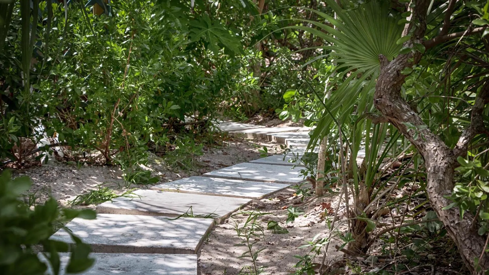 Villa Wyakha 4 Ocean View Long Bay Islas Turks y Caicos