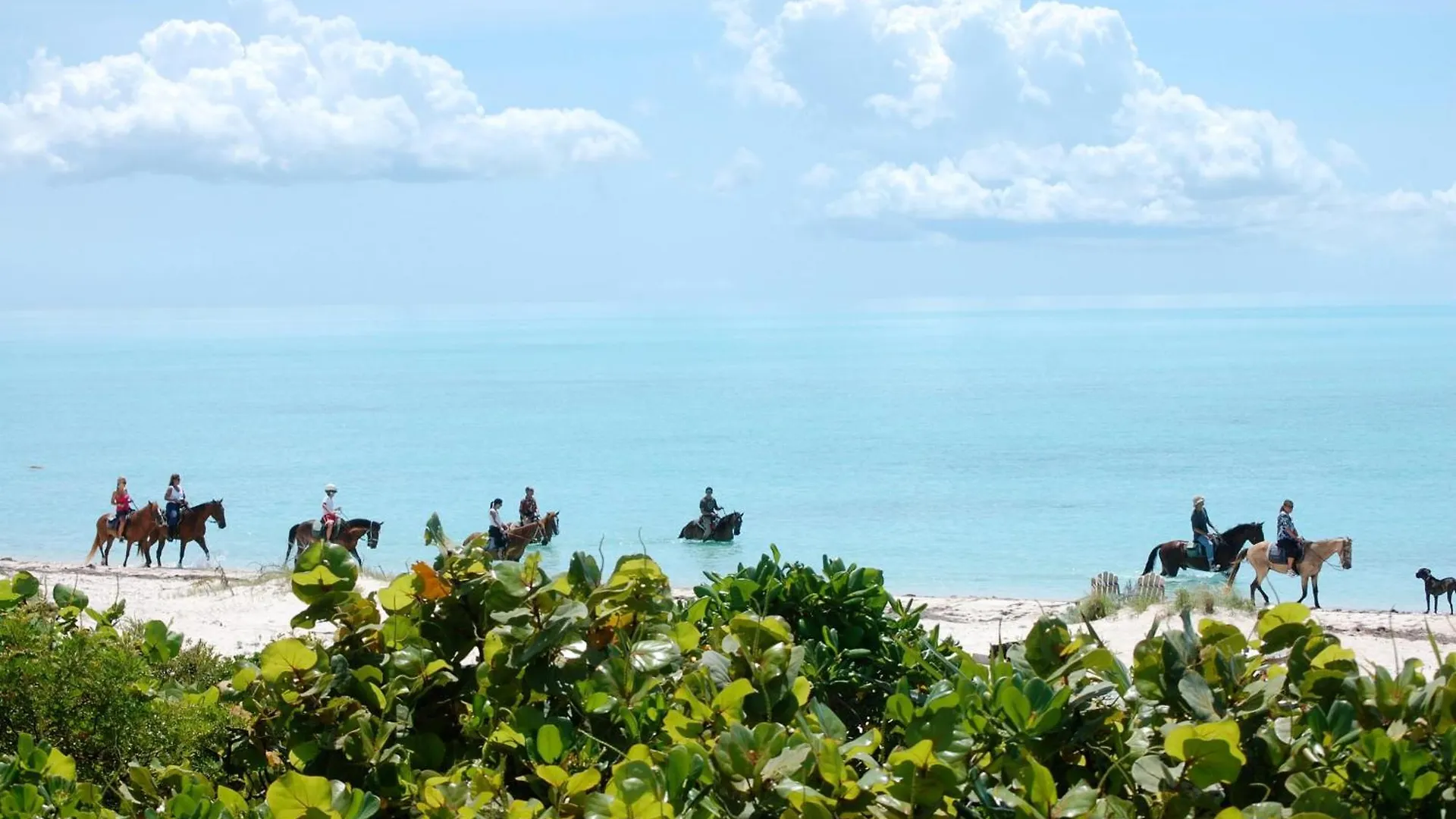 Villa Wyakha 4 Ocean View Long Bay